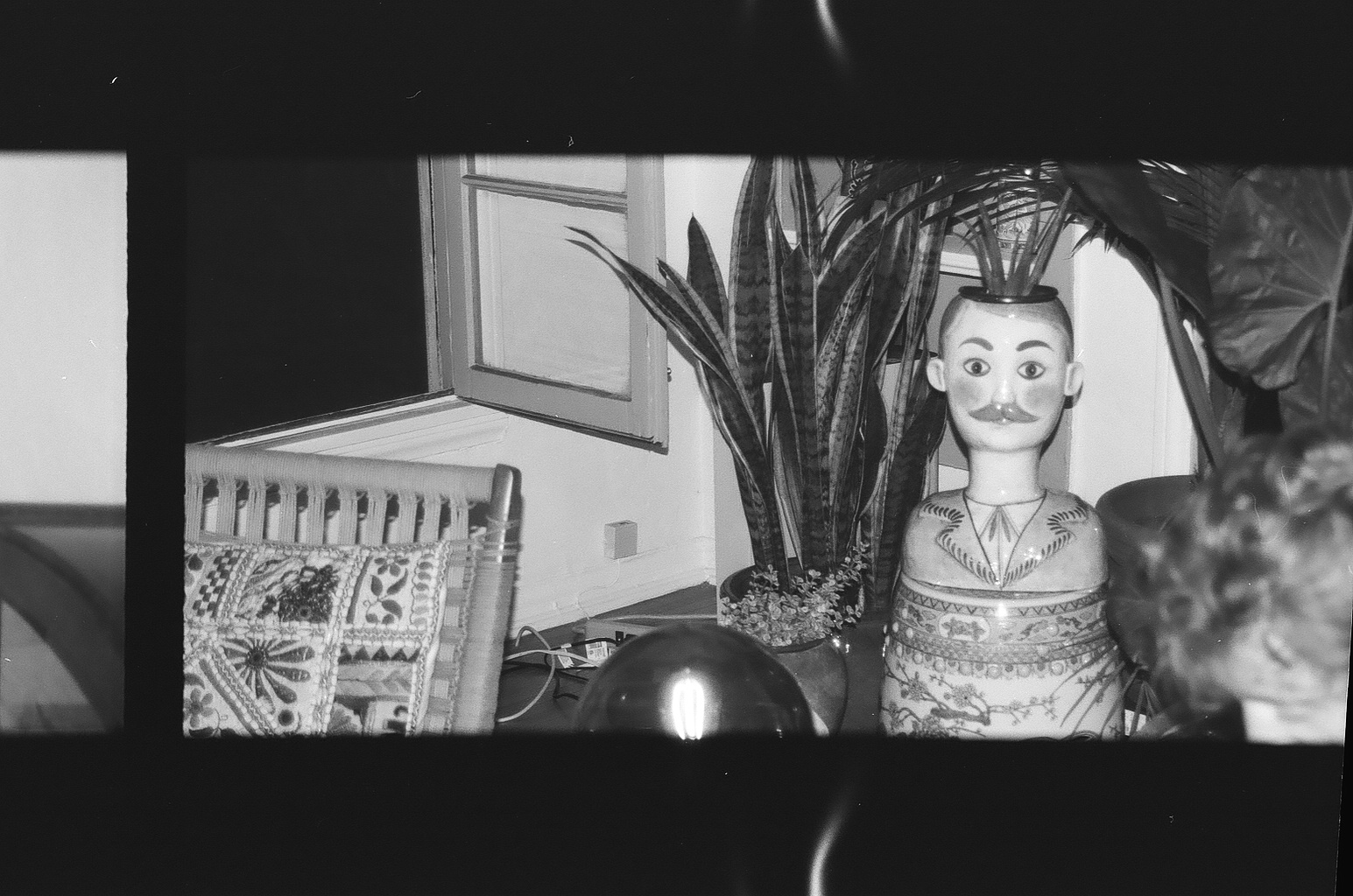 flowerpot frank amongst foliage, bw