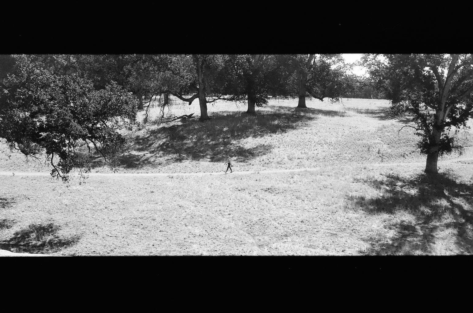 ru walking through a field, bw