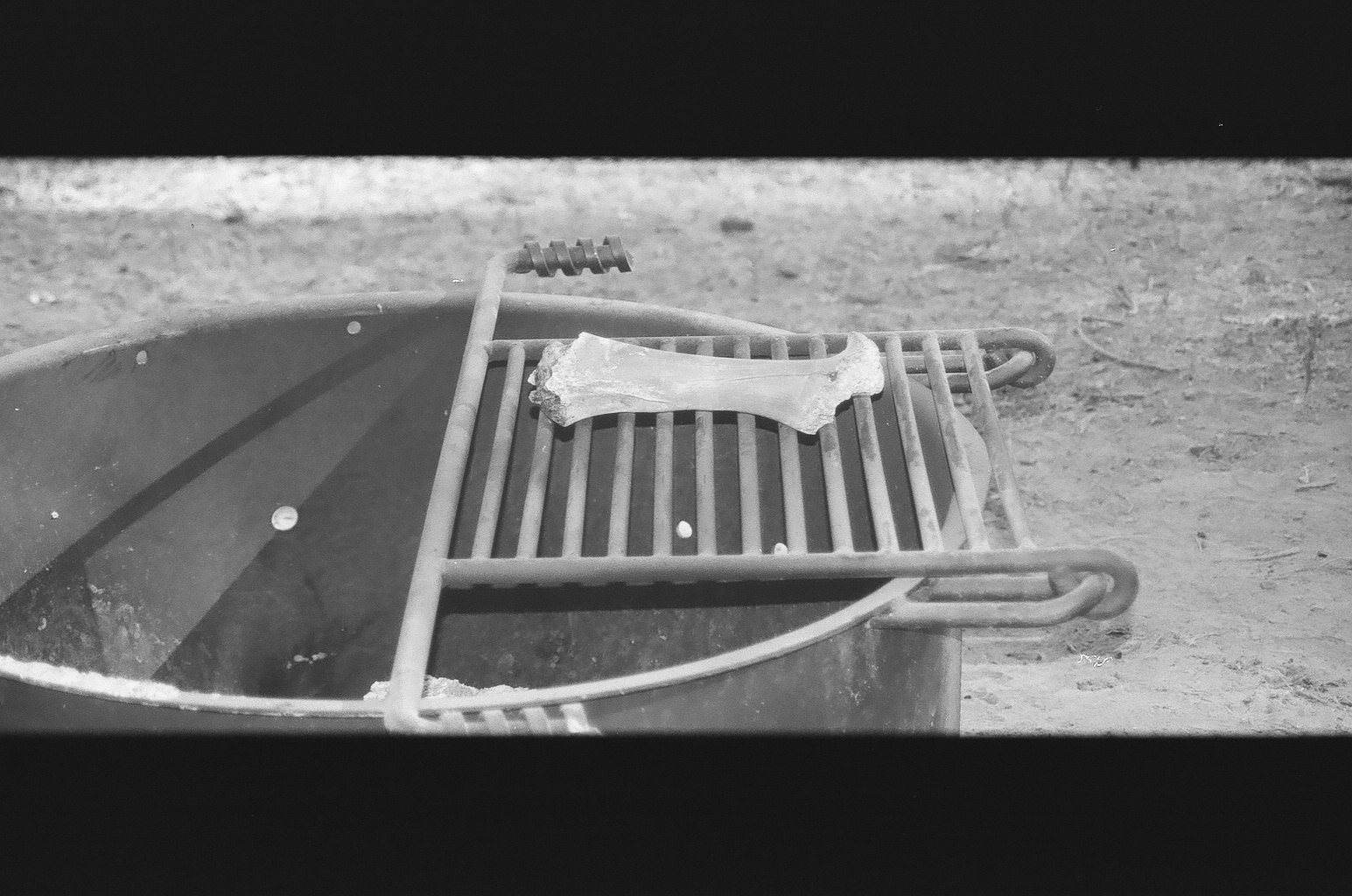 animal bone resting over the fire pit, bw