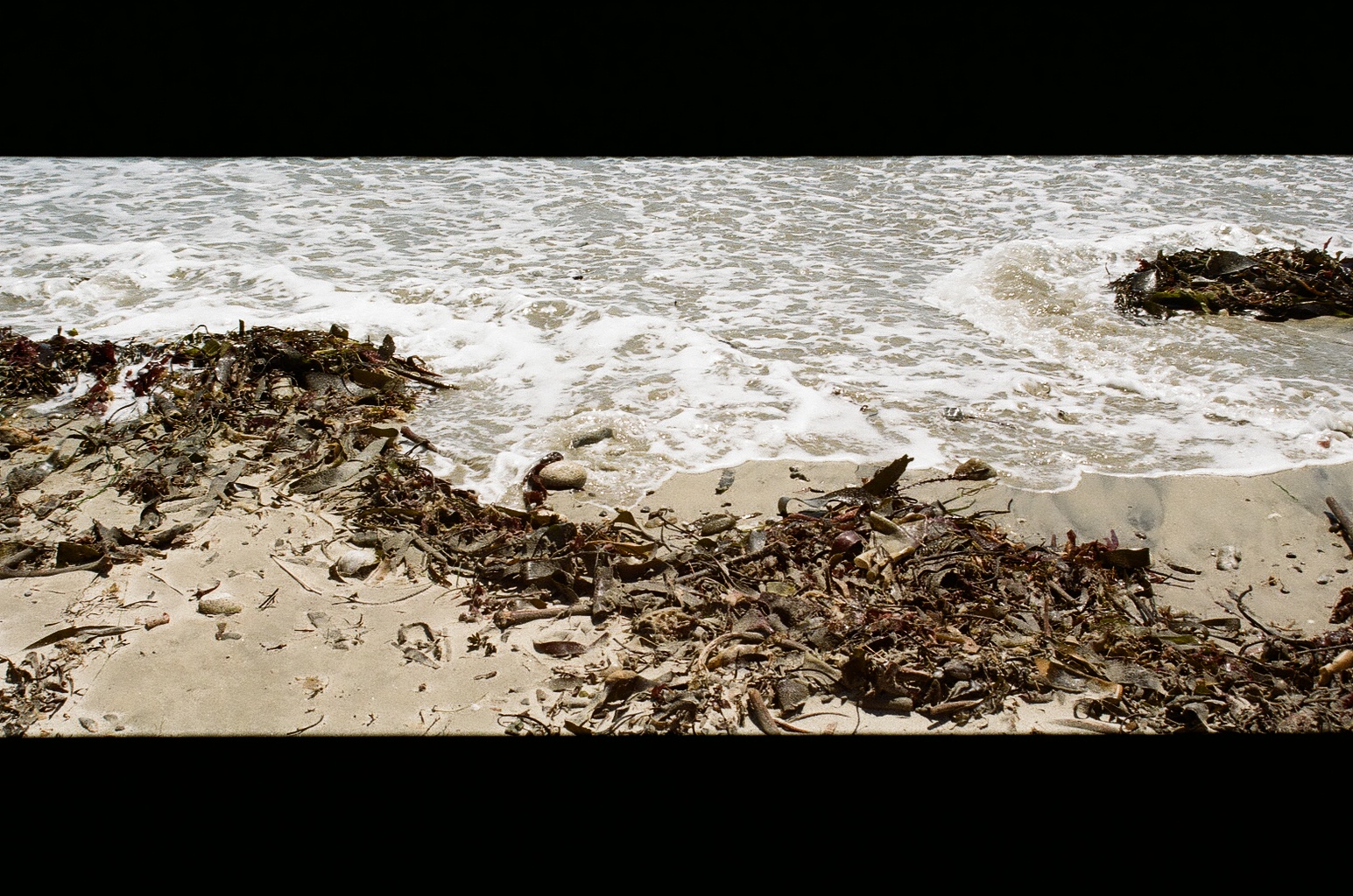 waves breaking over beached seaweed