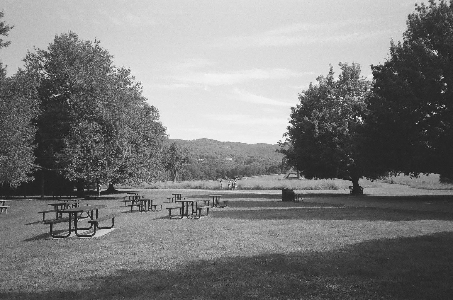empty picnic tables, bw