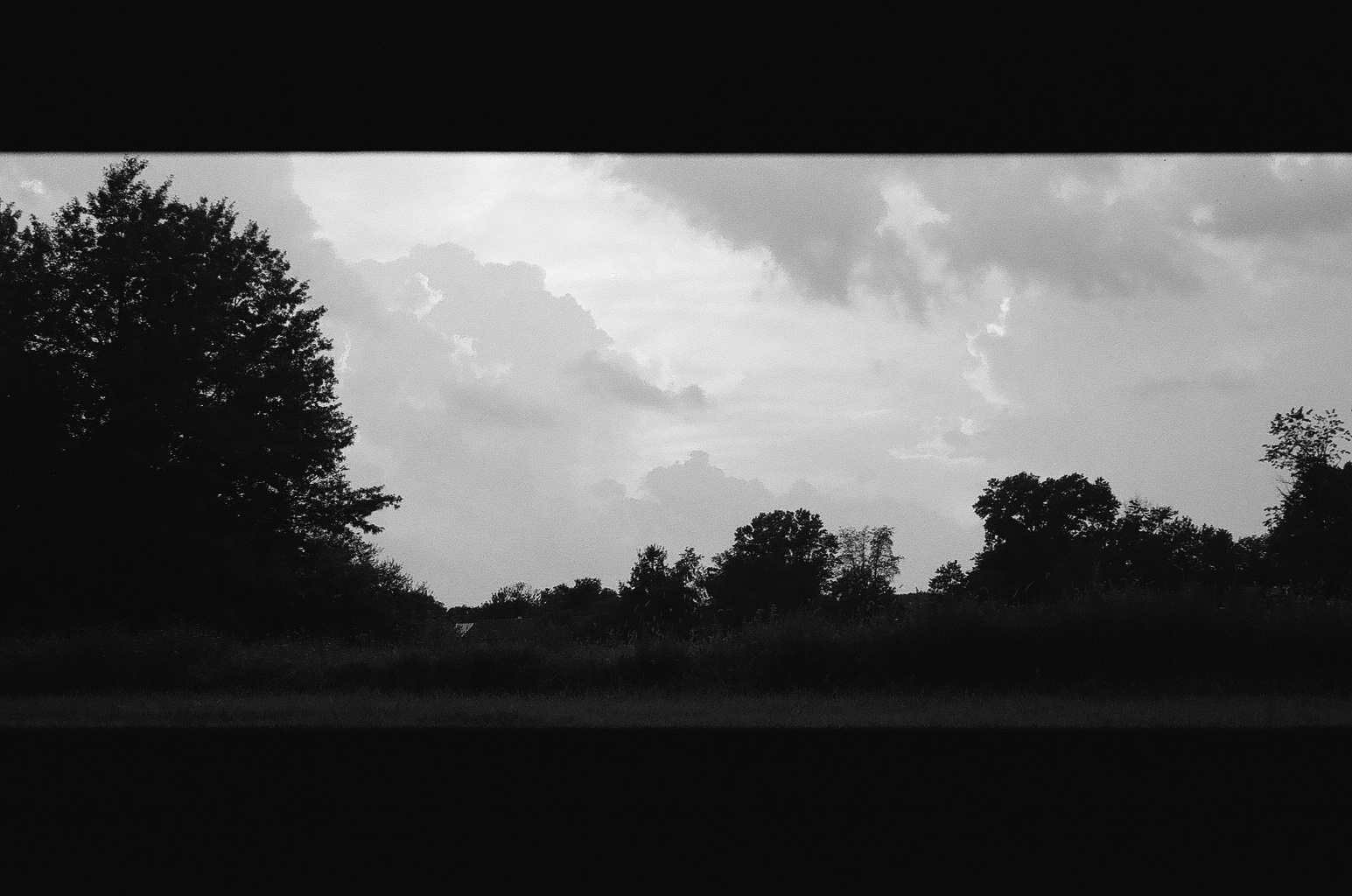 backroad, bw
